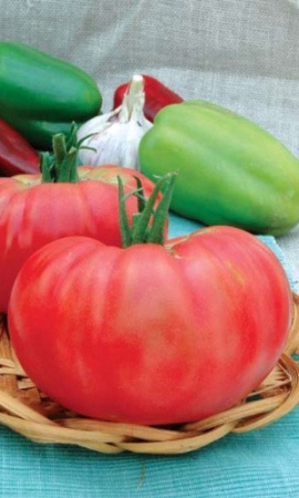 Семена Томат Розовый Гигант  "Уральский Дачник" б/п