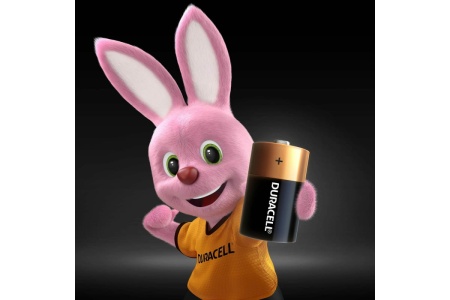 Батарейка Duracell LR 20  (2шт)