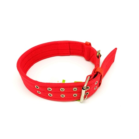 Ошейник TT84281