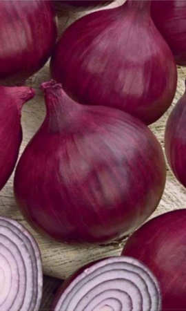 Семена Лук репчатый Черный Принц "Уральский Дачник" б/п