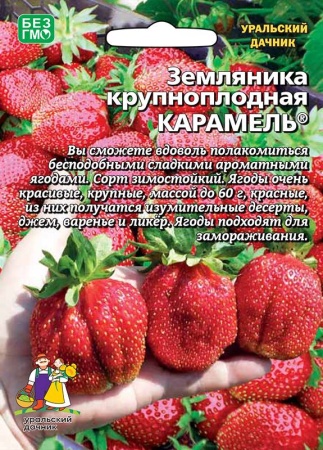 Семена Земляника Карамель - крупноплодная Б/Ф "Уральский Дачник" ц/п