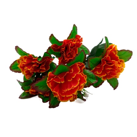 Букет Гвоздика 6 голов №110