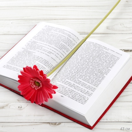 Цветок искусственный Гербера 43см малиновый / 1501 латэкс