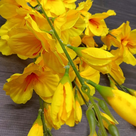 Букет Гладиолус