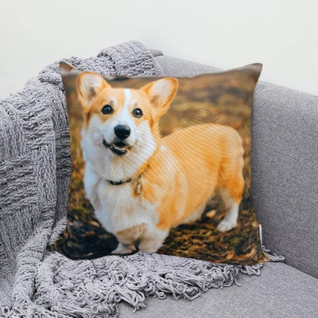 Подушка 40*40 ДомВелл габардин, поплин Корги