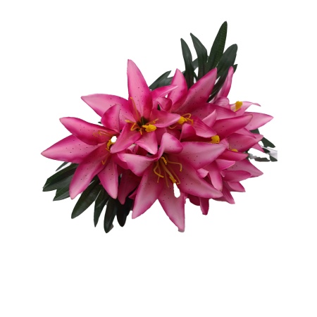 Букет Лилия 10 голов