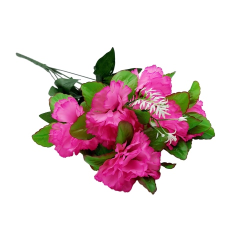 Букет Гвоздика 6 голов №110