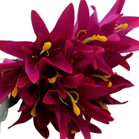 Букет Лилия 10 голов