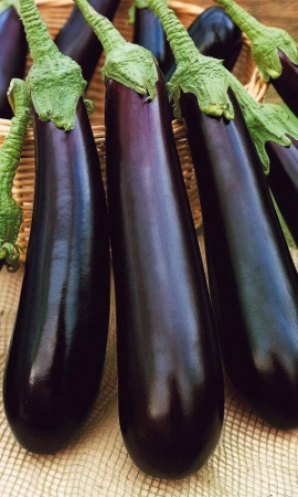 Семена Баклажан Халиф "Уральский Дачник" б/п