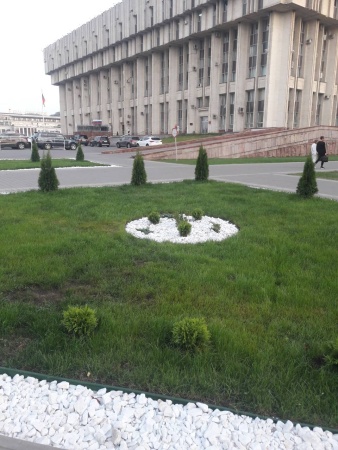 Бордюр садовый "Канта" черный