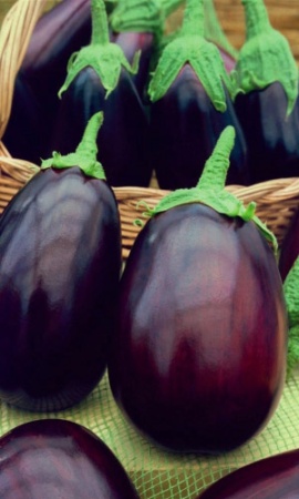 Семена Баклажан Сибирский Блюз F1 "Уральский Дачник" ц/п  