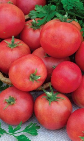 Семена Томат Ляна "Уральский Дачник" б/п