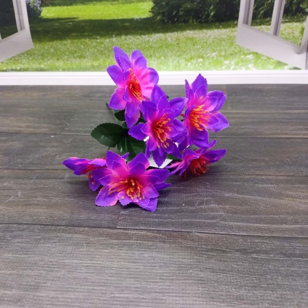 Букет Астра 6 голов