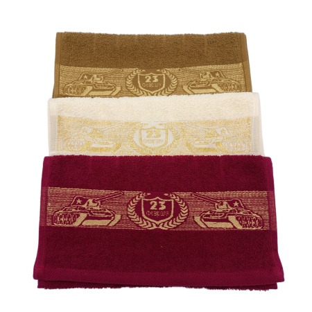 Полотенце 30х60см, 23 Февраля, махровое, хлопок