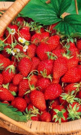 Семена Земляника Времена года "Уральский дачник" ц/п